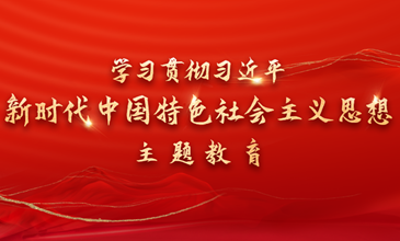 学习贯彻习近平新时代中国特色社会主义思想主题教育